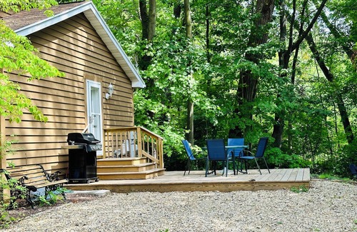 Harbert Haus | Game Room, 4 Min to Warren Dunes, Fire Pit and More!