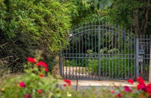 Red Hill Haus | Garden of Eden 伊甸园