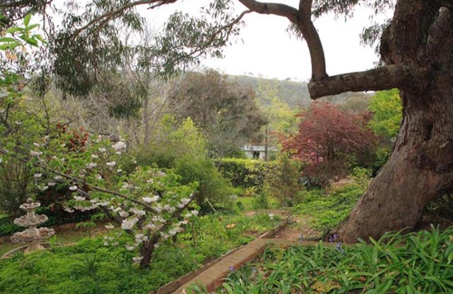 Red Hill Haus | Garden of Eden 伊甸园