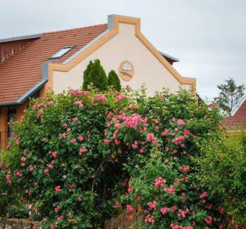 Mako Bed & Breakfast | Garden Vendégház Makó