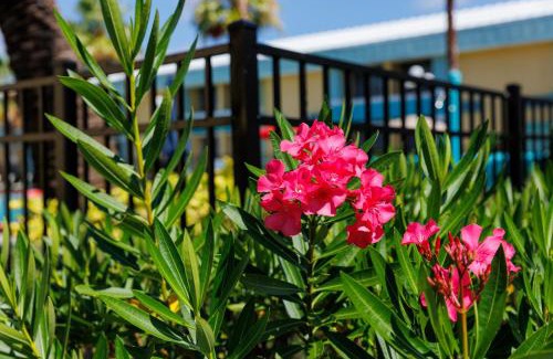 Orlando Hotel | Garnet Inn & Suites, Orlando