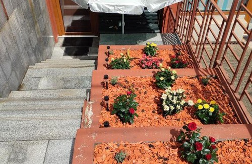 Cluj-Napoca Wohnung | Garsoniera Alex
