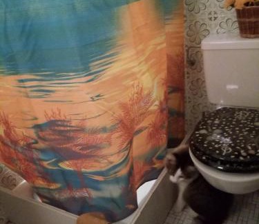 Oberbipp Haus | Gastzimmer für Übernachtung Гостевая комната