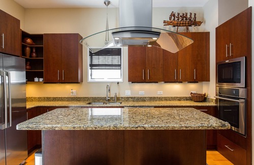 Lake Meadows Haus | Entspannter Luxus ~ Minuten vom McCormick Place, der Wintrust Arena, der Seeseite und dem Hafen entfernt!