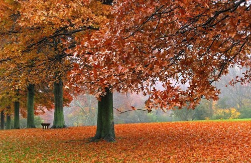 Brookfield Haus | Get Some Rest in Wisconsin State Fair Park! Indoor Swimming Pool, Pets Allowed!