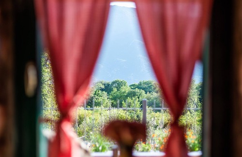 Vid Villa | Ausflug in die erholsame Natur