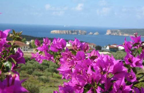 Pylos Haus | Gianna's Guesthouse & Cave Studio