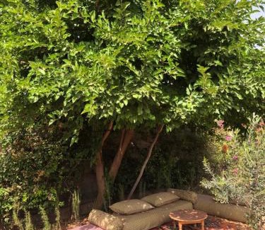 Al Ouidane Bed & Breakfast | Gite & Camping route Ouarzazate