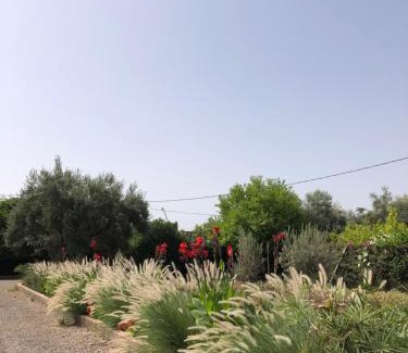 Al Ouidane Bed & Breakfast | Gite & Camping route Ouarzazate