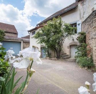 Savigny-les-Beaune Haus | GITE Home Bacchus