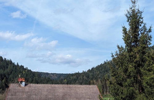 Le Val-d'Ajol Haus | Gîte in the countryside at the foot of a hiking trail