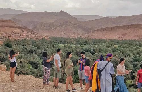 Bou Tharar Haus | Gite le Calme café Restaurant Pizzeria