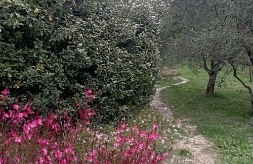 Saint-Saturnin-les-Apt Haus | Gite le petit colibri provençal cottage by the pool