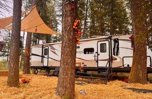 Columbia Falls Haus | Glacier Park Hideaway