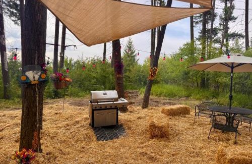 Columbia Falls Haus | Glacier Park Hideaway