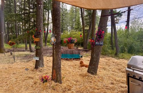 Columbia Falls Haus | Glacier Park Hideaway