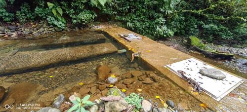 Concepcion Sonstige | Glamping Butterflay Garden