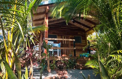 Playa Grande Hotel | Glamping Hotel Flor y Bambu
