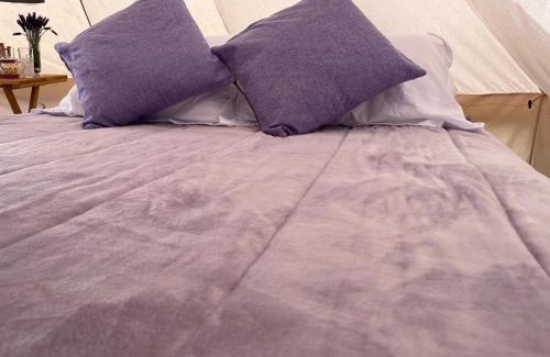 Texcoco de Mora Sonstige | Glamping Rincón de Lavanda