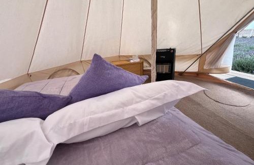 Texcoco de Mora Sonstige | Glamping Rincón de Lavanda