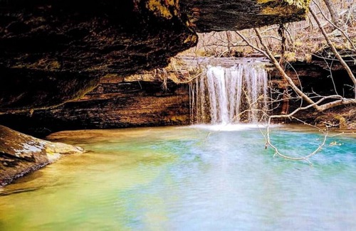 Deer Wohnmobilvermietung | Glamping tent in Newton County by Buffalo River!