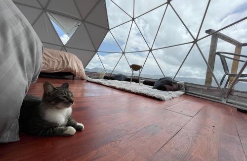 Guatavita Skihütte | Glamping Wayra