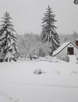 Kisujbanya Skihütte | GLASHÜTTE Kisújbánya Vadászház