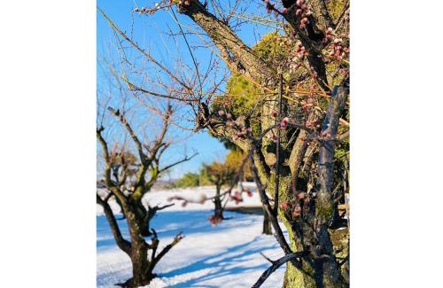 Koga Wohnung | GLOCE古河 Kominka -翠sui- 築150年伝統工法 歴史と自然を感じる古民家 蕎麦屋併設