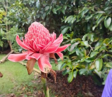 Ko Kood Haus | Good Time Resort Koh Kood