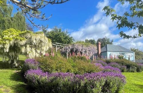 Castle Forbes Bay Hütte | Gorgeous cottage in the heart of the picturesque Huon Valley.