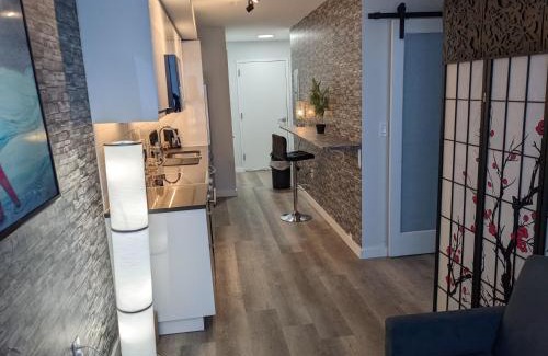 Downtown Wohnung | Gorgeous looking 2 bedroom Apt in downtown silverspring