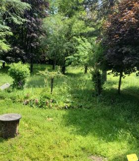 Chatillon-en-Michaille Haus | Goutanou chambre 3