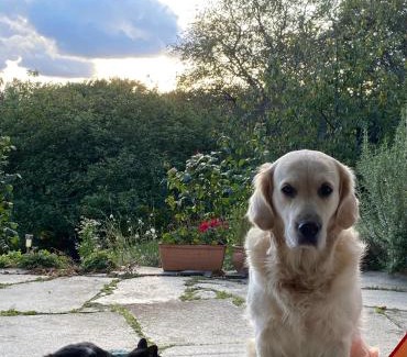 Roesrath Haus | Grüne Oase unweit von Köln