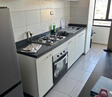 Concepcion Wohnung | Gran Departamento Concepción