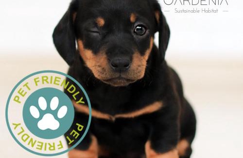 Atlixco Hotel | Grand Gardenia