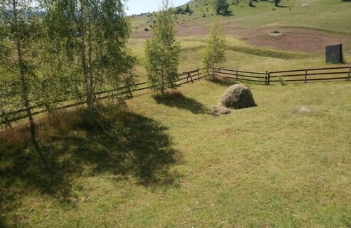 Zabljak Haus | Grand Rabbit House on the Hillock