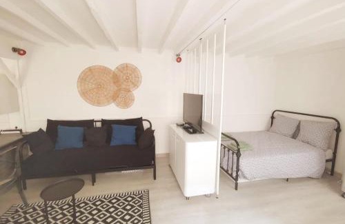 Saint-Maurice Wohnung | Grand studio proche Paris avec terrasse