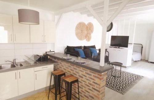 Saint-Maurice Wohnung | Grand studio proche Paris avec terrasse