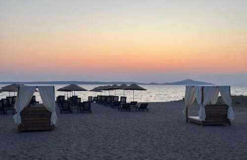 Ezine Hotel | Grape Hotel