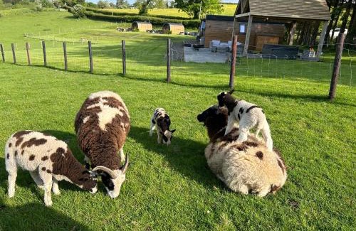 Erwood Sonstige | Great House Farm Luxury Pods and Self Catering