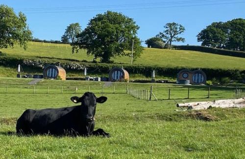 Erwood Sonstige | Great House Farm Luxury Pods and Self Catering