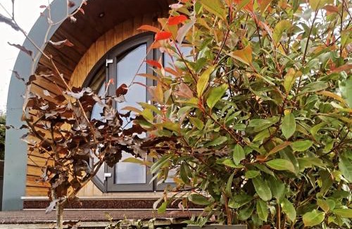 Erwood Sonstige | Great House Farm Luxury Pods and Self Catering