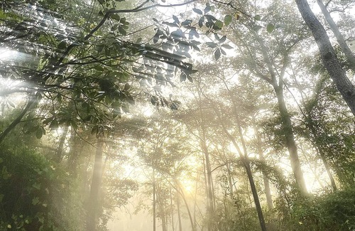 Moss Wohnung | Great little apt. Safe charming quiet place