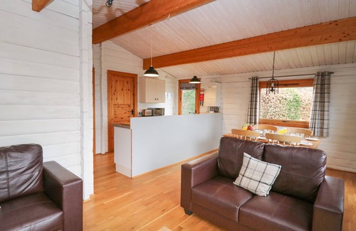 Rhayader Hütte | Great Owl Lodge