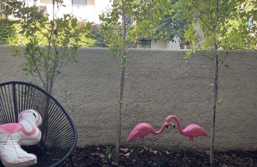 Deepwell Estates Eigentumswohnung | Great Palm Springs Oasis 2 miles from downtown!