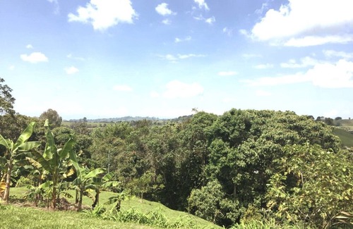 Luna Park Haus | Green Garden Views in Circasia