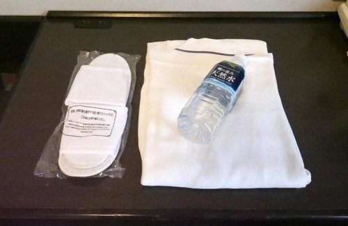 Nagahama Hotel | Green Hotel Yes Nagahama Minatokan