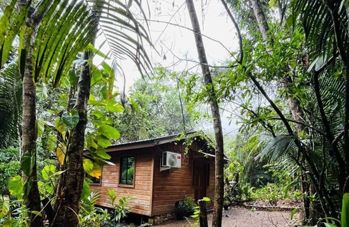 San Ignacio Kabine | Green Jay Cabin 1