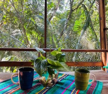 San Ignacio Haus | Green Jay Cabins