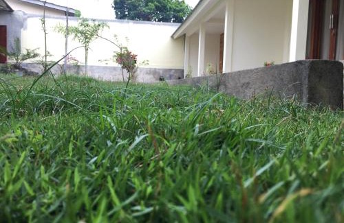 Bayan Hotel | GREEN RINJANI